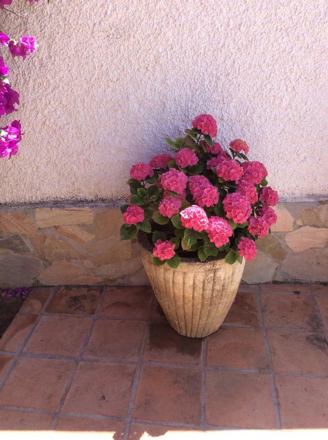 Apartamentos Y Habitaciones Kai Marbella (Adults Only) Dış mekan fotoğraf